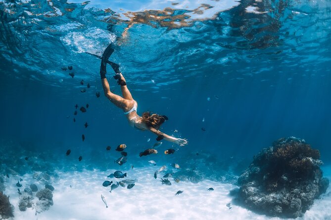 Los Cabos Power snorkel Adventure, Kayaking and Stand-Up Paddle - A Fast Boat Ride to El Arco and Chileno Bay