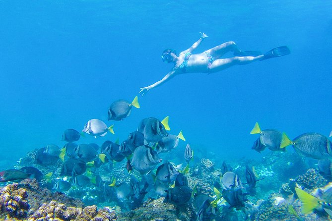 Los Cabos Power snorkel Adventure, Kayaking and Stand-Up Paddle - Safety and Physical Demands