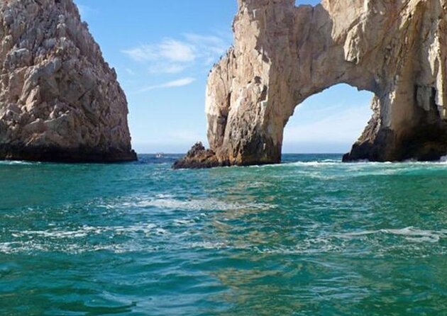Los Cabos Private Yacht Whale Watching & Drinks - Up to 18 Guests - Key points to know before you book
