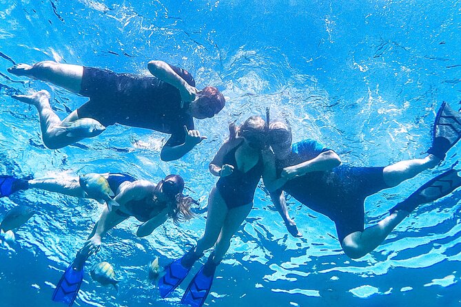 Los Cabos Snorkeling Tour by Speed Boat with Photos Included - Reaching a quieter snorkeling site