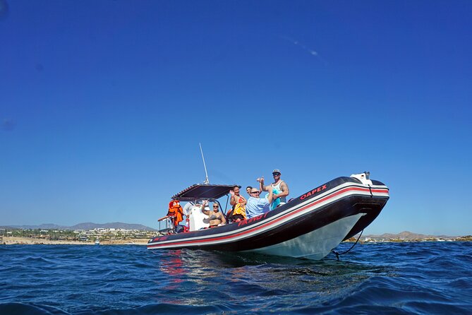 Los Cabos Snorkeling Tour by Speed Boat with Photos Included - Guides who make the water feel less intimidating