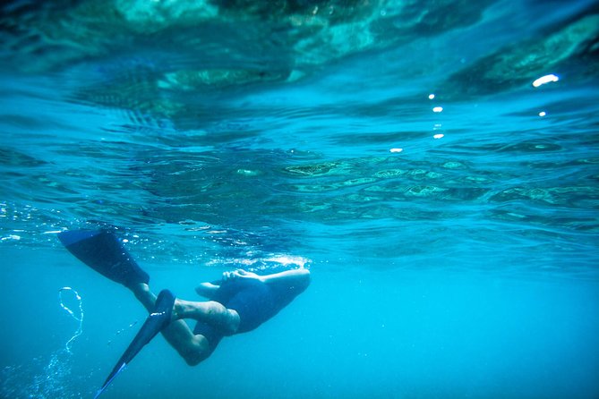 Los Cabos Snorkeling Tour to Chileno Bay and Santa Maria Cove - What the $95 price buys you in Cabo