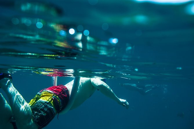 Los Cabos Snorkeling Tour to Chileno Bay and Santa Maria Cove - Why the guides matter in the water