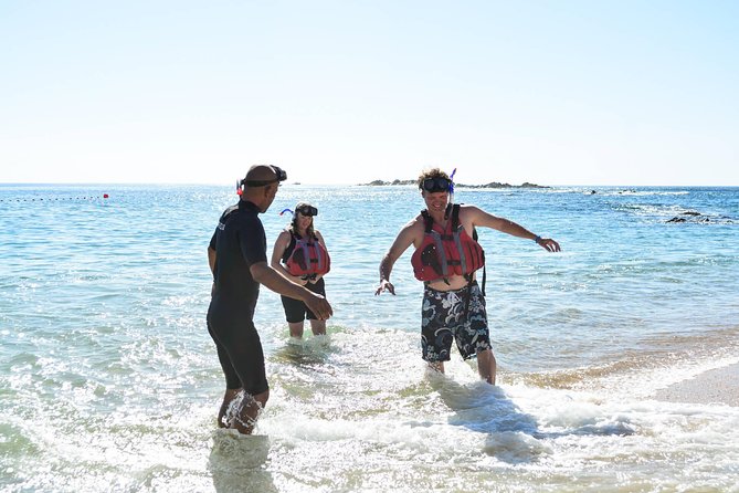 Los Cabos Snorkeling Tour to Chileno Bay and Santa Maria Cove - Who will enjoy this tour most