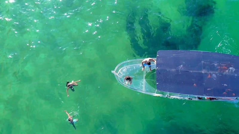 Los Cabos: Transparent Boat Tour with Optional City Tour - Who will enjoy this most?