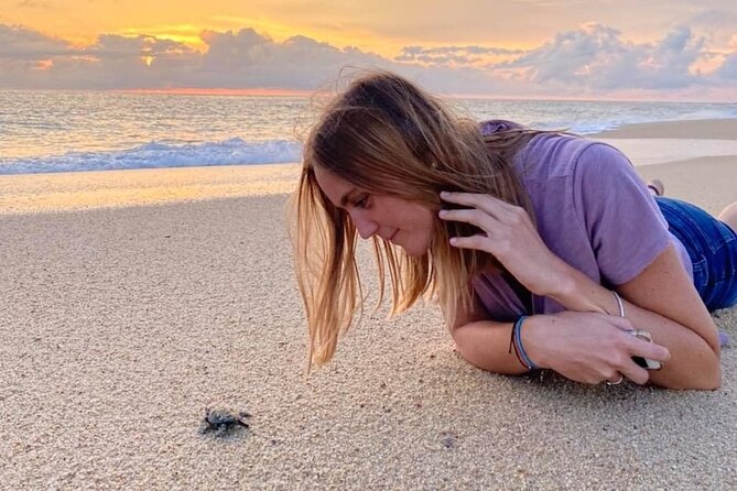 Los Cabos turtle release conservation program - The conservation value, and the limits of the experience