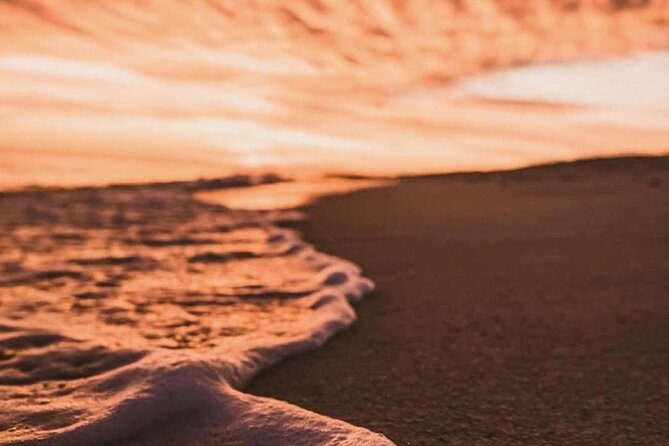 Los Cabos turtle release conservation program - Who will enjoy this Cabo experience most