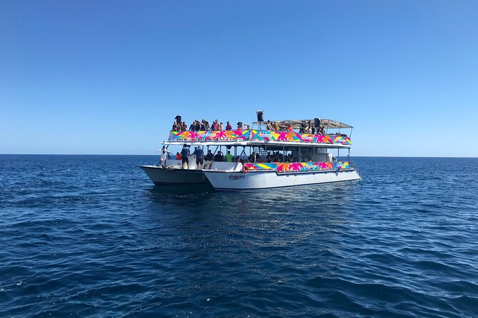 Los Cabos Whale Watching Cruise Including Breakfast - My practical verdict