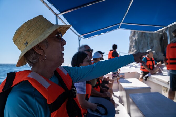 Los Cabos Whale Watching (Transportation and Pictures Included) - What the boat ride feels like