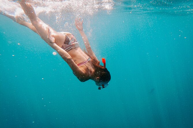 Luxury Snorkel Adventure in Cabo - Lunch, ceviche, and the open bar
