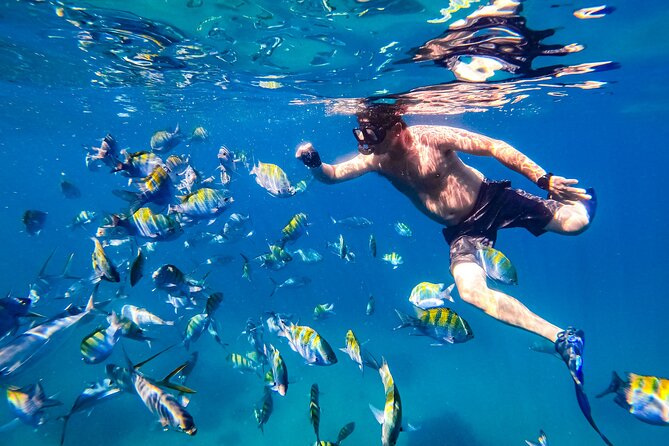 Luxury Yacht & Snorkel with All inclusive Open bar and lunch - Majahuitas Beach is the most appealing stop