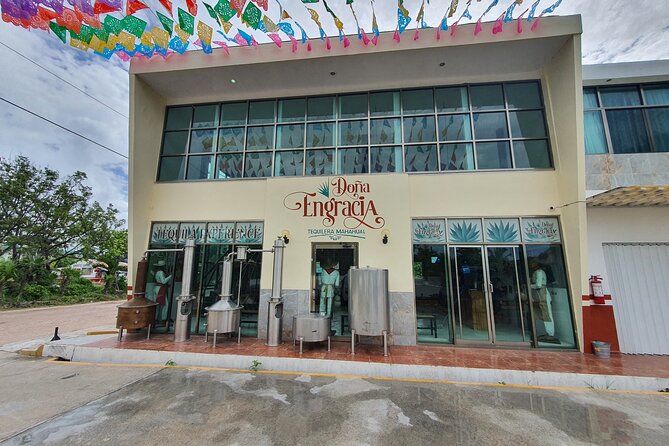 Mahahual Private Tequila Tasting - A compact tequila lesson in central Mahahual