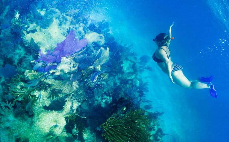 Mahahual: Snorkel Tour in Reef Lagoon - Key points to know before you book