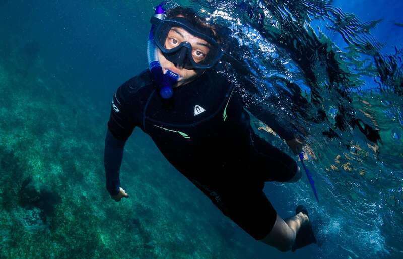 Mahahual: Snorkel Tour in Reef Lagoon - One hour among coral heads, sand, and grass