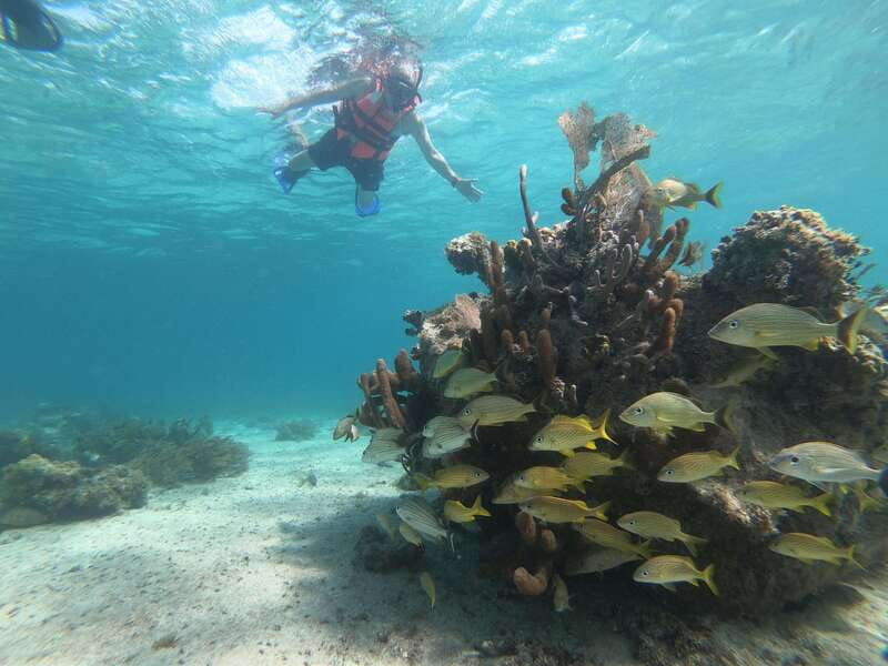 Mahahual: Snorkel Tour in Reef Lagoon - What the guides add to the outing