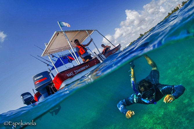 Mahahual Snorkeling Adventure: Turtle Encounter - Why the lagoon suits beginners