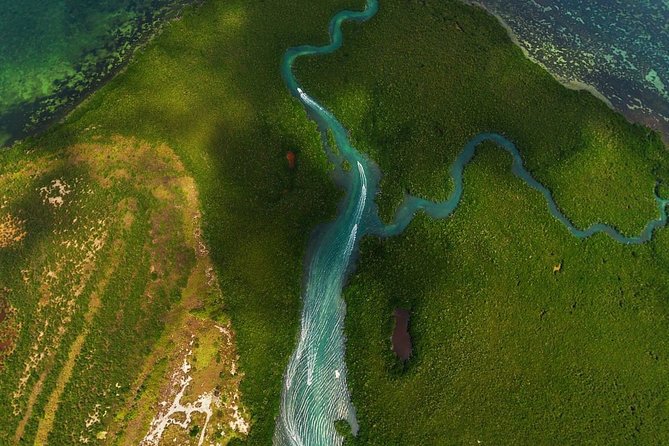 Mangrove and Lagoon Speed Boat Tour - Taking the wheel on Nichupte Lagoon
