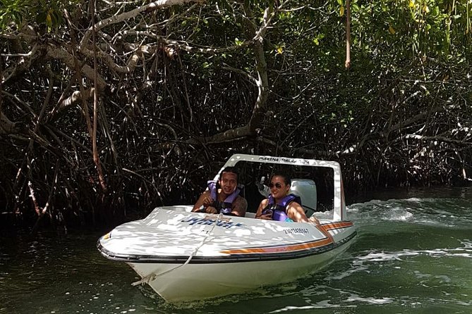 Mangrove and Lagoon Speed Boat Tour - Boats, space, and who gets to drive