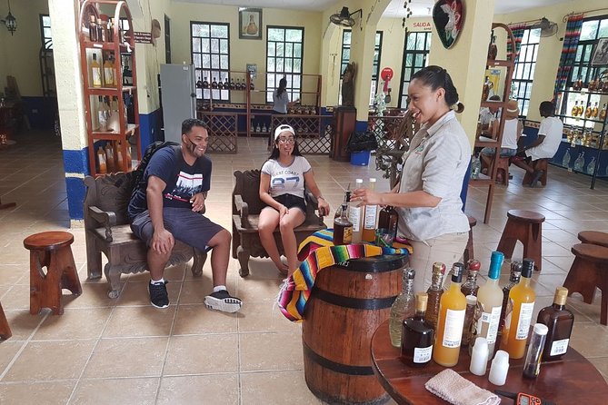 Mayan Village and Tequila Tour - Transport, Meeting Point, and Cruise Timing