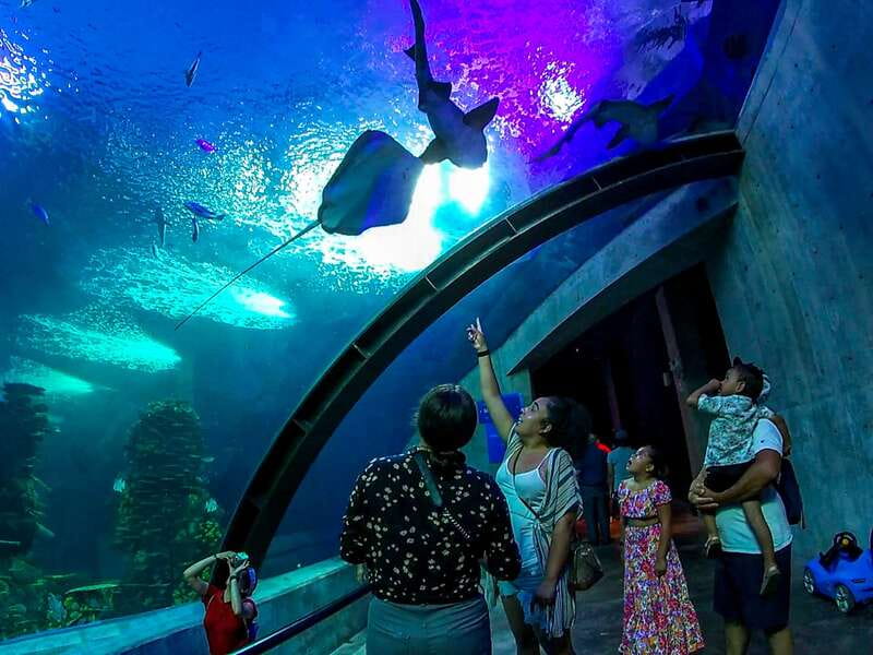 Mazatlan: Grand Aquarium Ticket and City Sightseeing Tour - Why this Mazatlán combination works