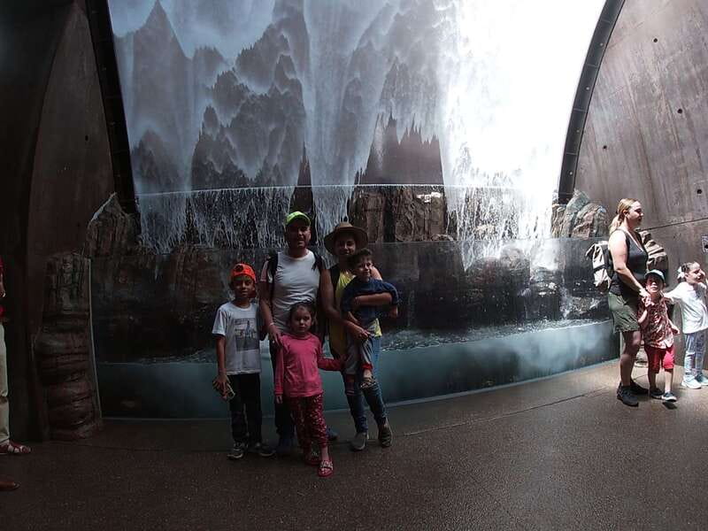 Mazatlan: Grand Aquarium Ticket and City Sightseeing Tour - A short city tour after the aquarium