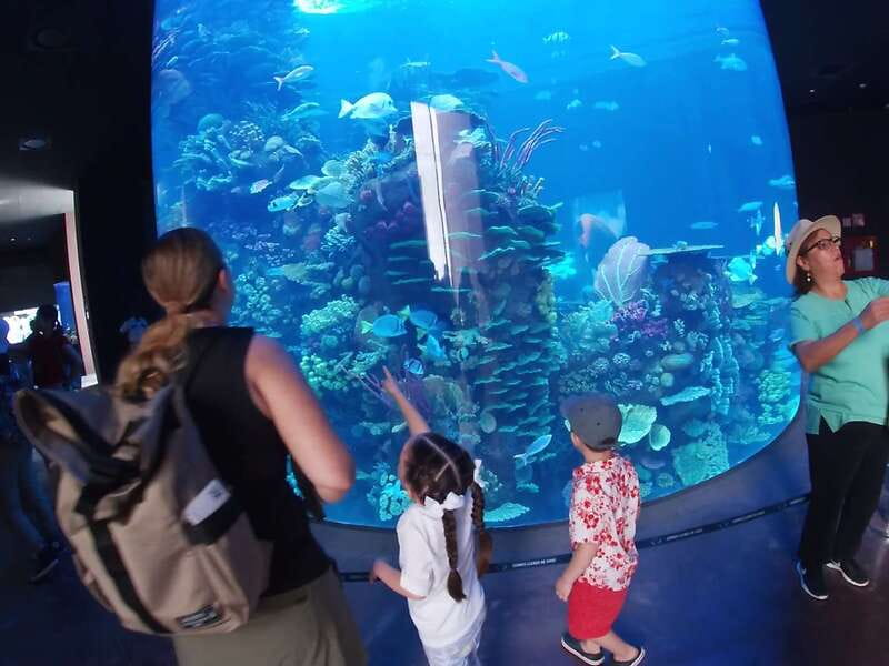 Mazatlan: Grand Aquarium Ticket and City Sightseeing Tour - How much the guide affects the day