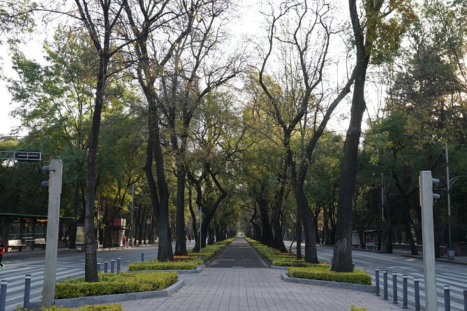 Mexico City: 19 City Highlights Bicycle Tour - Chapultepec’s monuments, castle, and museum district