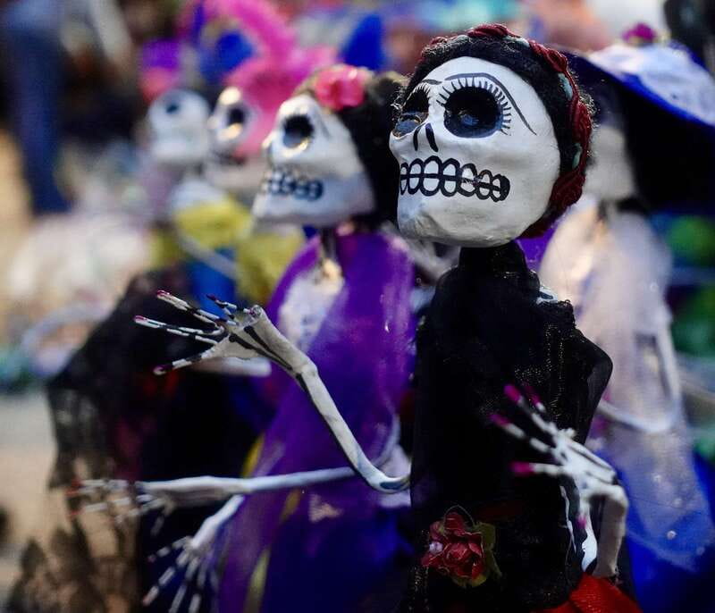 Mexico City: Day of the Dead Guided Tour - Who should book this experience?