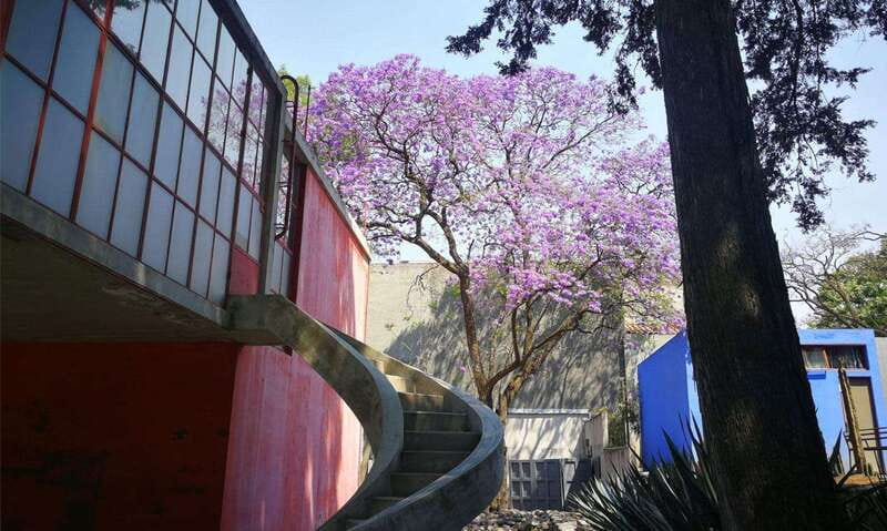 Mexico City: Frida Kahlo-Diego Rivera Studio House Tour - Why this small studio house matters