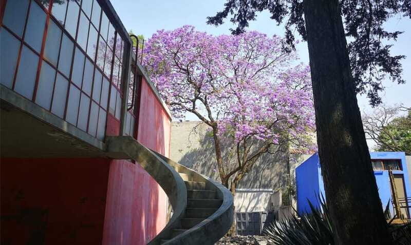 Mexico City: Frida Kahlo-Diego Rivera Studio House Tour - Booking details worth knowing