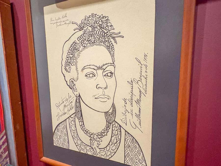 Mexico City: Frida Kahlo Museum Entry Ticket w/Digital Guide - What you see during the one-hour Casa Azul visit