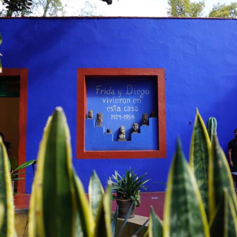Mexico City: Frida Kahlo Museum Tour - Inside Casa Azul: objects that tell Frida’s story