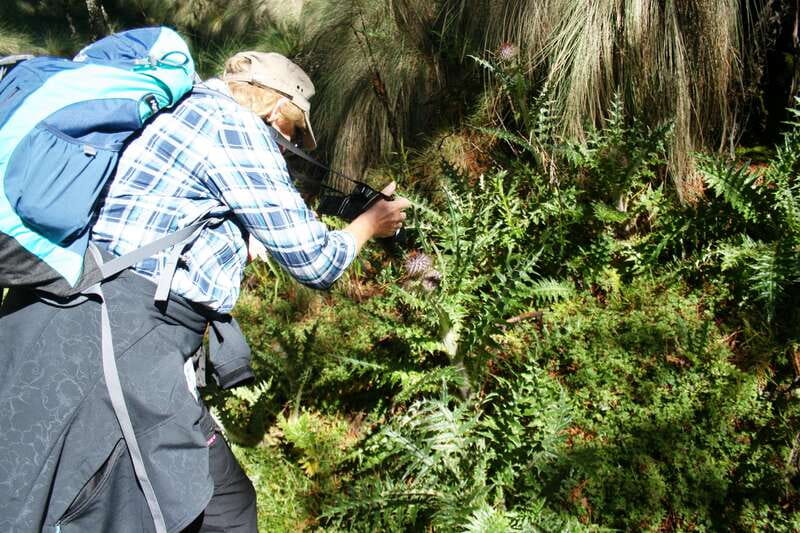 Mexico City: Guided Volcano Trek with Lunch - Key points at a glance