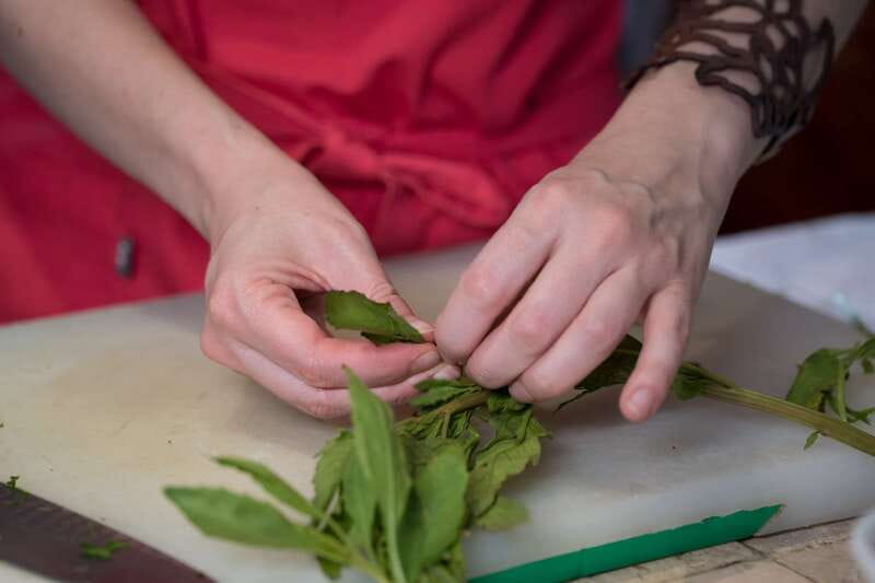 Mexico City: Mexican Cooking Class - A Mexico City cooking class built around doing, not watching