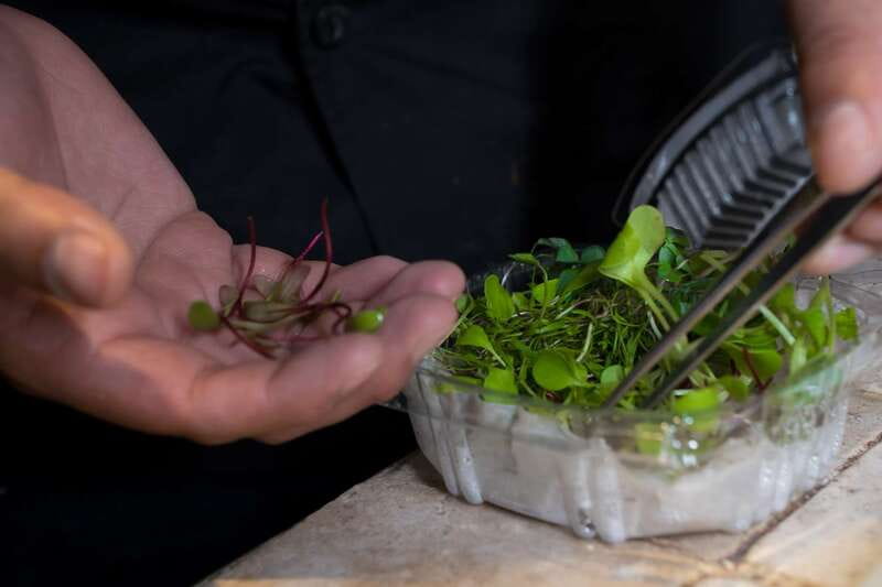 Mexico City: Mexican Cooking Class - A home kitchen with real advantages and one clear warning