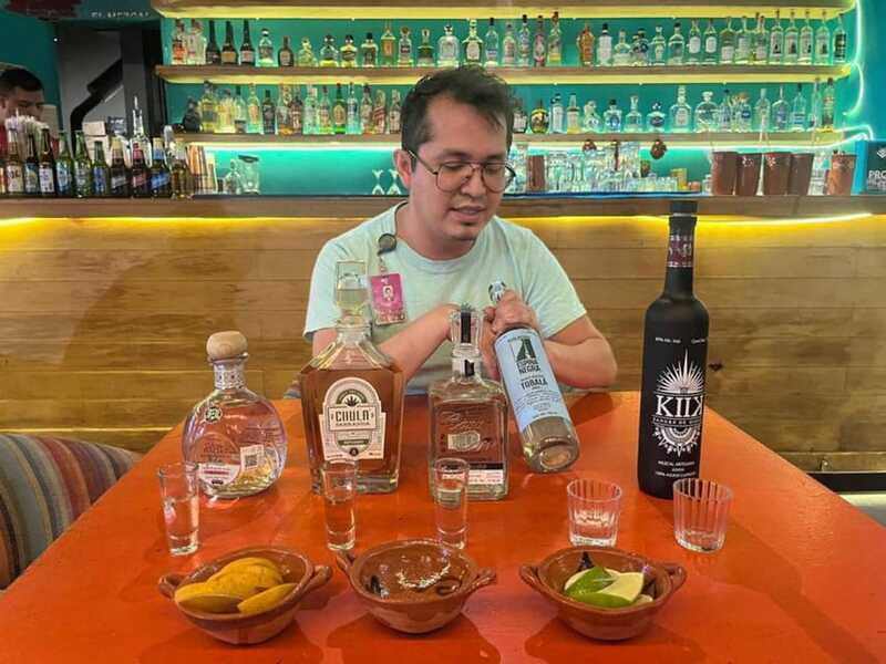 Mexico City: Tequila and Mezcal Museum Tour with Tasting - Who should book this experience?