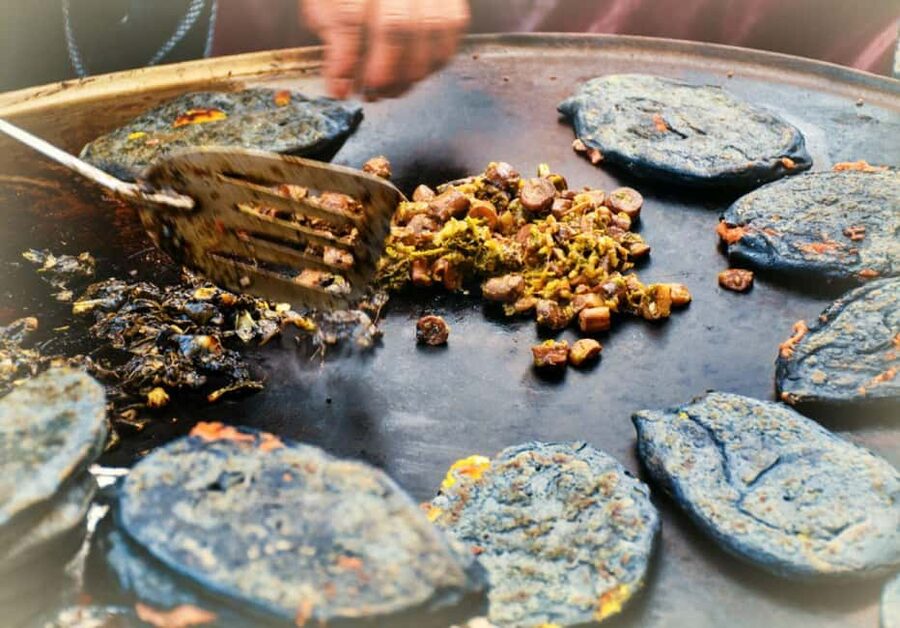 Mexico City: Vegan and Vegetarian Street Food Adventure - Small restaurants, street stalls, and family cooking