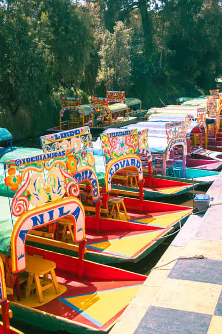 Mexico City: Xochimilco Boat with Guacamole & Premium Drinks - Making guacamole on the boat