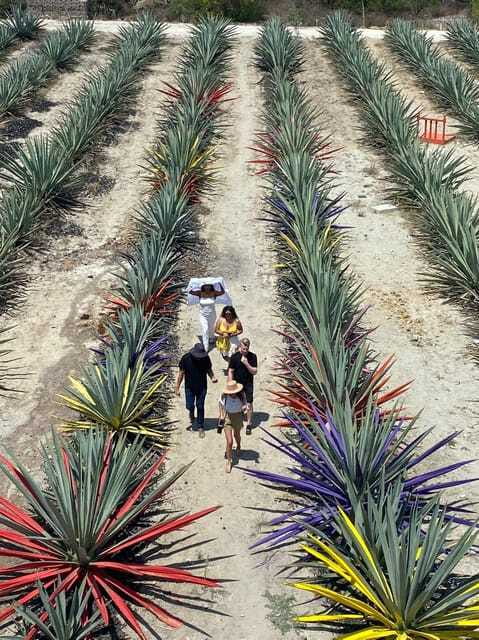 Mezcal Tour Oaxaca - Tasting up to 13 mezcals, including pechuga