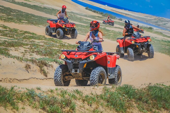 Migriño Beach and Desert ATV Tour in Cabo - The tequila tasting and the commercial side of the visit