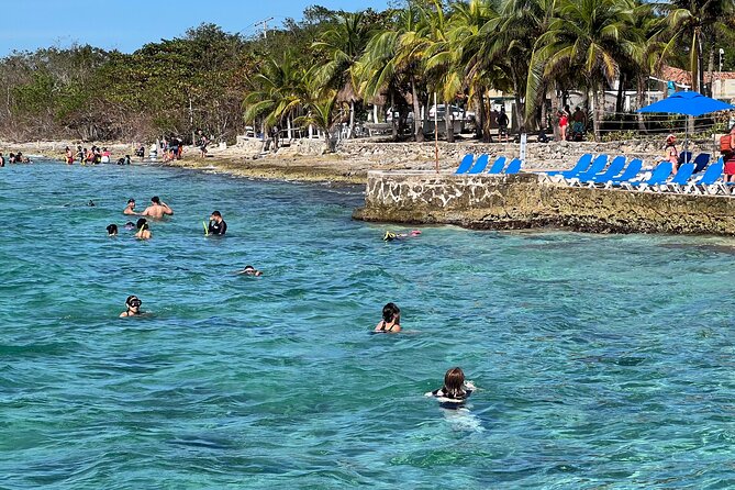Money Bar Day Pass with Snorkel & Mexican Lunch - How the guided snorkeling works