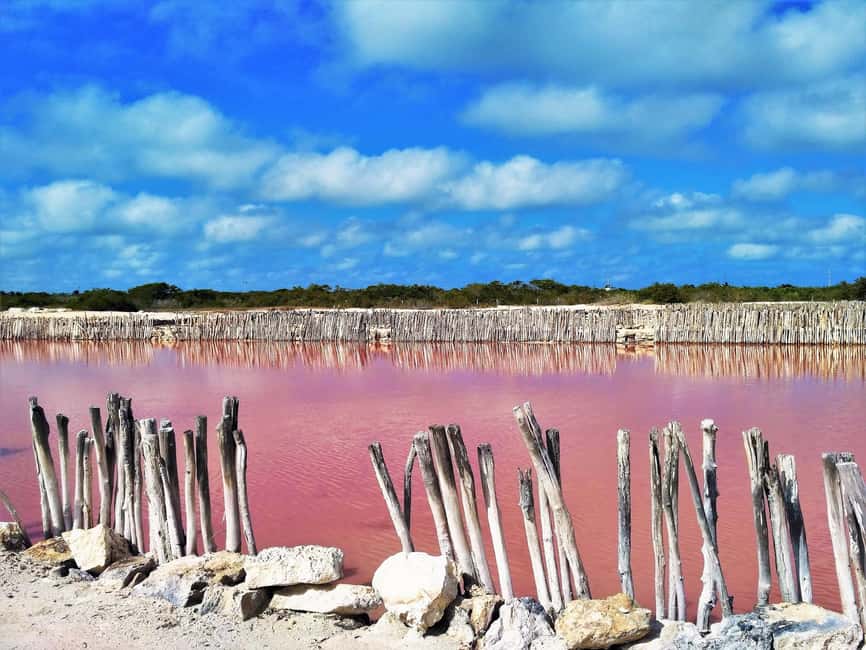 Motul, Hacienda, Xcambo, Pink Salt Mine & Progreso Day Trip - Is the $87 Price Fair?