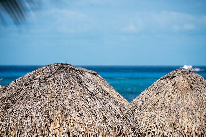 Mr. Sanchos Beach Club All-Inclusive Day Pass - Booking, weather, and cancellation details