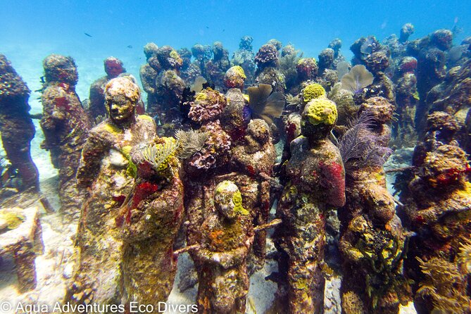 MUSA Museum and Colorful Reef 2 Tank Dive-Certified Divers - Guides who keep the experience personal