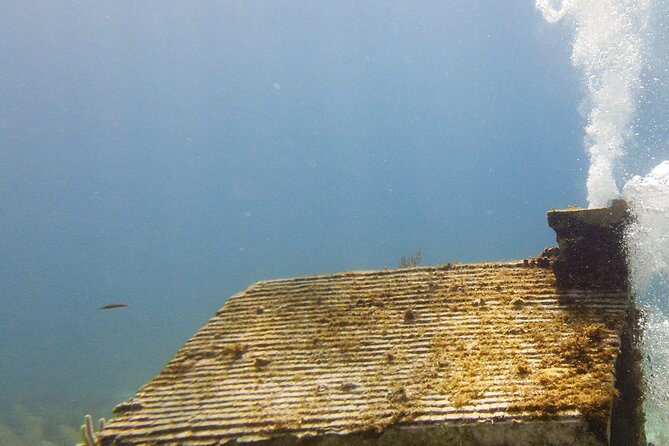 MUSA Museum and Colorful Reef 2 Tank Dive-Certified Divers - What is included for the $100 price