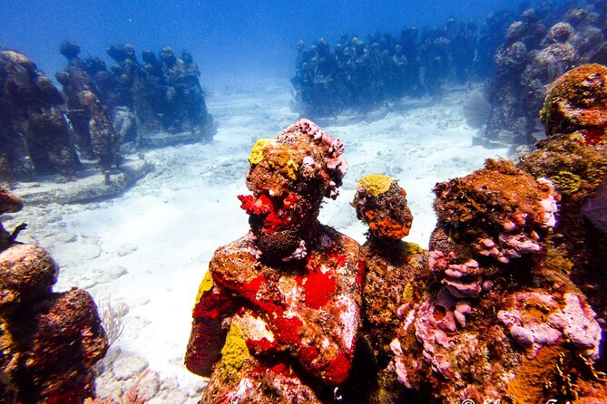 MUSA Museum and Colorful Reef 2 Tank Dive-Certified Divers - The marine life you could encounter