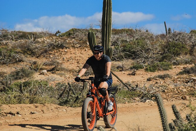 New Attraction: Guinness World Record Sky Bike in Los Cabos - Is $84 a good price for this Cabo outing?