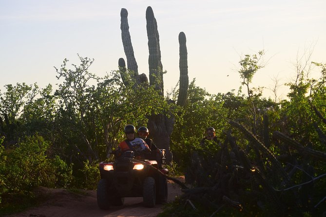 New!!! Extreme Beach & Desert Off-Road Atv Experience… - Desert trails, cactus, hills, and a small village