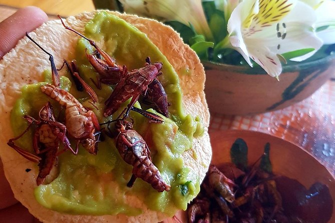 Oaxaca Conmigo Private Tours - Markets Show Everyday Oaxaca