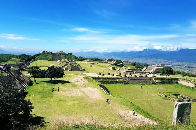 Oaxaca Conmigo Private Tours - What the $309.90 Price Really Buys